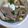El cooksnap de Ana Laura De Maria Díaz cuando hizo Lengua a la vinagreta. (Receta de mi abuela) 👌❤️.