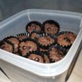 Cooksnap dari AmmaAbha untuk resep Brownies Kering Mini