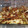 El cooksnap de El Jorge cuando hizo Bacalao al alioli al horno.