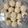 Cooksnap dari Susanti Sigit untuk resep Cookies dancow