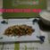 Cooksnap dari bursyah_yunita untuk resep Tumis Ayam Cincang Kacang Panjang