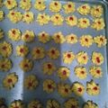 Cooksnap dari Ati Bane untuk resep Semprit strawberry