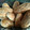 El cooksnap de Las delicias de Mónica cuando hizo Pan sin gluten.