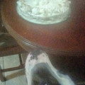 El cooksnap de Maria Llaja cuando hizo Torta tres leches.