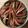 El cooksnap de PAC cuando hizo Ratatouille Disney.