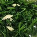 啤酒肚 的 蒜炒地瓜葉 cooksnap