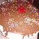 El cooksnap de andrea andrade cuando hizo Bizcochuelo casero de chocolate !!.