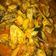 Cooksnap dari Amelia Beatrix untuk resep Ayam woku