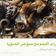 صورة من -Hamza Al Tayyar، شاركها بعد تجربة وصفة كرات اللحم بالصوص