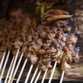 Cooksnap dari Aurora Sari untuk resep Sate KERANG🐚🐚