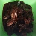 Cooksnap dari Tia Zaidt untuk resep Semur daging betawi