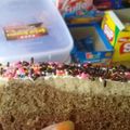 Cooksnap dari Arum Ajhaa Dech untuk resep Cake Tiramisu (Kukus)