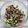 Sangita Vyas's cooksnap of when they made એવોકાડો સલાડ (Avocado Salad Recipe In Gujarati).