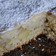 El cooksnap de María Mikaela Rivero Hernández cuando hizo Torta matera con crema pastelera de chocolate🍫.