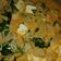 Cooksnap dari dewiika untuk resep Laksa sederhana
