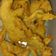 Cooksnap dari Haisya✅ untuk resep Jamur Crispy (kriuk gak lembek)
