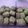 Cooksnap dari Nindita Nareswari untuk resep Greentea cookies