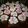 Cooksnap dari Novita Rahma untuk resep Brownies Cupcake