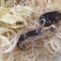 貓熊_湯圓 的 炒米粉 cooksnap