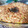 El cooksnap de tayita cuando hizo Pastel de arroz con carne picada y verduras, gratinado.