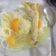 Cooksnap dari Hesti Retno untuk resep Soto ayam ceker bumbu kuning
