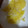 El cooksnap de Eva Aguilar Velazquez cuando hizo Patatas a lo pobre en estuche de vapor Lékué.