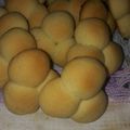 صورة من زوجي سر سعادتي 😍ام عمر، شاركها بعد تجربة وصفة بسكويت هش 🍪