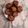 El cooksnap de Maria Dolores Serrano Estrada cuando hizo Galletas de avena con trigo sarraceno (sin azúcar ni edulcorantes).