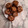 El cooksnap de Maria Dolores Serrano Estrada cuando hizo Galletas de avena con trigo sarraceno (sin azúcar ni edulcorantes).