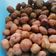 Cooksnap dari Fira untuk resep Kacang Telor Renyah