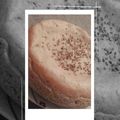کوک اسنپ فاطمه بانو بعد از امتحان کردن نان قابلمه ای.