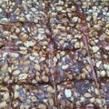 Cooksnap dari Lie-Liez untuk resep Ting ting kacang