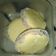El cooksnap de P@mchu cuando hizo Alfajores de Maizena.