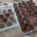 Cooksnap dari Olivia Lee untuk resep Puding murmer untuk di jual