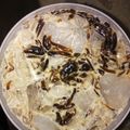 Cooksnap dari endangs polnaya untuk resep Es Cincau Serut