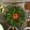 mk's cooksnap of when they made Lebanese tabbouleh salad - tabbouleh.