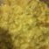 ER Niral Ramani's cooksnap of when they made કાઠીયાવાડી ખીચડી (Kathiyawadi Khichdi Recipe In Gujarati).