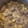 El cooksnap de Antonio Pardo Álamo cuando hizo Magro de cerdo en salsa de ajo y cebolla.