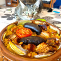 El cooksnap de fill d'un melò d'alger cuando hizo Arros al forn (Arroz al horno a la valenciana).