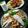 صورة من Chef hamdy morsy، شاركها بعد تجربة وصفة أرضي شوكي أو الأنجينار 👌😋