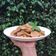 Cooksnap dari Ria Mamanya Tata untuk resep Kalio / Rendang Jengkol dan Tongkol Khas Minang💕