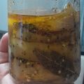 El cooksnap de paola cuando hizo Berenjenas en escabeche 🍆.