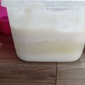 Cooksnap dari Yasmine Faradisy untuk resep Homemade Yoghurt (2 Bahan Saja)