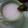 Cooksnap dari elvira Agustina untuk resep Jus Strawberry