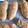 El cooksnap de yudis “isacastro” castro cuando hizo Baguettes 🥖.