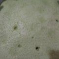 Cooksnap dari Alvia Cokelat untuk resep Bolu lapis hongkong