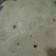 Cooksnap dari Alvia Cokelat untuk resep Bolu lapis hongkong