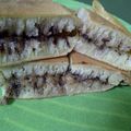 Cooksnap dari Dewi "Uwhie" untuk resep Martabak keju oreo *simpel tanpa telur dan ragi*
