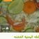 صورة من أم حاتم "، شاركها بعد تجربة وصفة سلطه