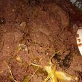 Cooksnap dari Puty Argadinata untuk resep Rendang Daging Sapi Empuk Lezat